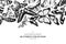 Design with black and white morpho menelaus, cethosia biblis, papilio antimachus, alcides agathyrsus, ornithoptera