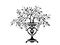 Design of bonsai tree