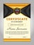Design certificate of achievement, diploma. Vertical template.