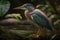 Design of colorful Green Heron bird in the Jungle