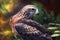 Design of colorful Northern Harrier bird in the Jungle