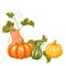 Design element with pumpkins. Decorative ornament from vegetables and leaves