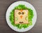 Design food. Creative sandwich for child with picture little ow