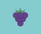 Design about the grapes icon