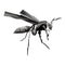 design illustration of a ferocious black and white wasp wpap pop art vector style