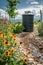 Design and install rainwater harvesting systems to capture and store rainwater for later use in irrigation