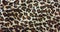 Design of Leopard skin Clothing texture for background