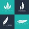 Design of logos with feathers. Templates for writers, book publishers and businesses
