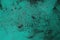 design space copy background teal close wall painted damaged rty old background rough abstract green light