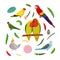 Design template with parrots in square for kid print. Rectangle composition of tropical birds lovebirds, macaw