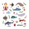 Design template with sea animal in square for kid print. Rectangle composition of marine animals, squid, hammerheand
