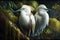 Design of two colorful Snowy Egret bird in the Jungle.
