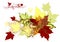 Design with vector autumn maple leafs