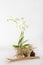 Design with white orchids with a small buddha