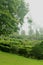 Designed and cropped plants with mist in the kodaikanal chettiar park.