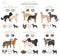 Designer dogs, crossbreed, hybrid mix pooches collection isolated on white. Flat style clipart set