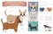 Designer dogs, crossbreed, hybrid mix pooches collection isolated on white. French bulldog corgi mix flat style clipart