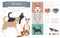 Designer dogs, crossbreed, hybrid mix pooches collection isolated on white. Pitsky flat style clipart infographic