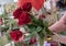 Designer florist makes a bouquet of red roses for Valentine`s day on the background of the interior of a flower shop
