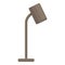 Desktop lamp icon cartoon vector. House table