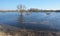 Desna rive flood in spring