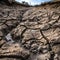 Desolate Beauty: A Close-Up of a Dried Up River Bed