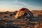 Desolate desert camping Solitary adventure amidst arid wasteland, surrounded by emptiness