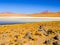 Desolate desert and mountainous landscape of southern Altiplano with lagoon, Andes, Bolivia