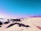 Desolate mystical beach, photographed in South Africa