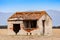 Desolate old house with a wooden door