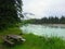 Desolate peaceful campground on the Fraser river near Mount Robs