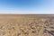 Desolate stone desert in front of the sand dunes of Erg Chebbi