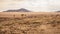 Desolate view of Erongo, drive from Sesriem to Swakopmund, Namibia.