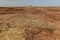 Desolate volcanic landscape of Dallol, Danakil depression, Ethiop