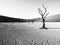 Desolated dry landscpe with dead camel thorn trees in Deadvlei pan. Cracked soil in the middle of Namib Desert red dunes