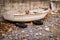 Desolated Rowboat On The Seashore