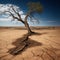 Desolation: A Barren Landscape of Dry Land and Dead Trees