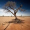 Desolation: A Barren Landscape of Dry Land and Dead Trees