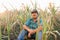 Desperate farmer standing in drought-damaged corn crop. looking at camera