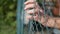 Desperate Man Hands Hanging on a Metallic Fence Inside a Prison, Quarantine and Protection Area Concept