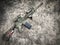 Dessert assault rifles airsoft gun on the ground