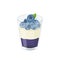 Dessert with blueberries in a glass. Blueberry jelly, whipped cream and berries. Vector illustration