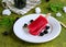 Dessert, portioned homemade ice cream or popsicles made from red currants and blackberries on a white plate against a green