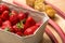 Dessert Strawberries, Rhubarb, Physalis