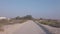 Dessert wild plants and nature | Spectacular Landscape View at Al Wathba Wetland Reserve in Abu Dhabi, UAE | coastal salt flat sa