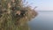 Dessert wild plants and nature | Spectacular Landscape View at Al Wathba Wetland Reserve in Abu Dhabi, UAE | coastal salt flat sa