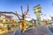 DESTIN, FLORIDA - FEBRUARY 2016: Destin Harbor Boardwalk at sunset with shops and tourists