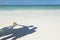 Destination tropical beach weddings background