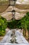 Destination wedding dinner set up under a pergola and wisteria.