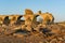 Destroyed abandoned Ajuda bridge crossing the Guadiana river